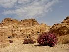 Petra 2 - 
